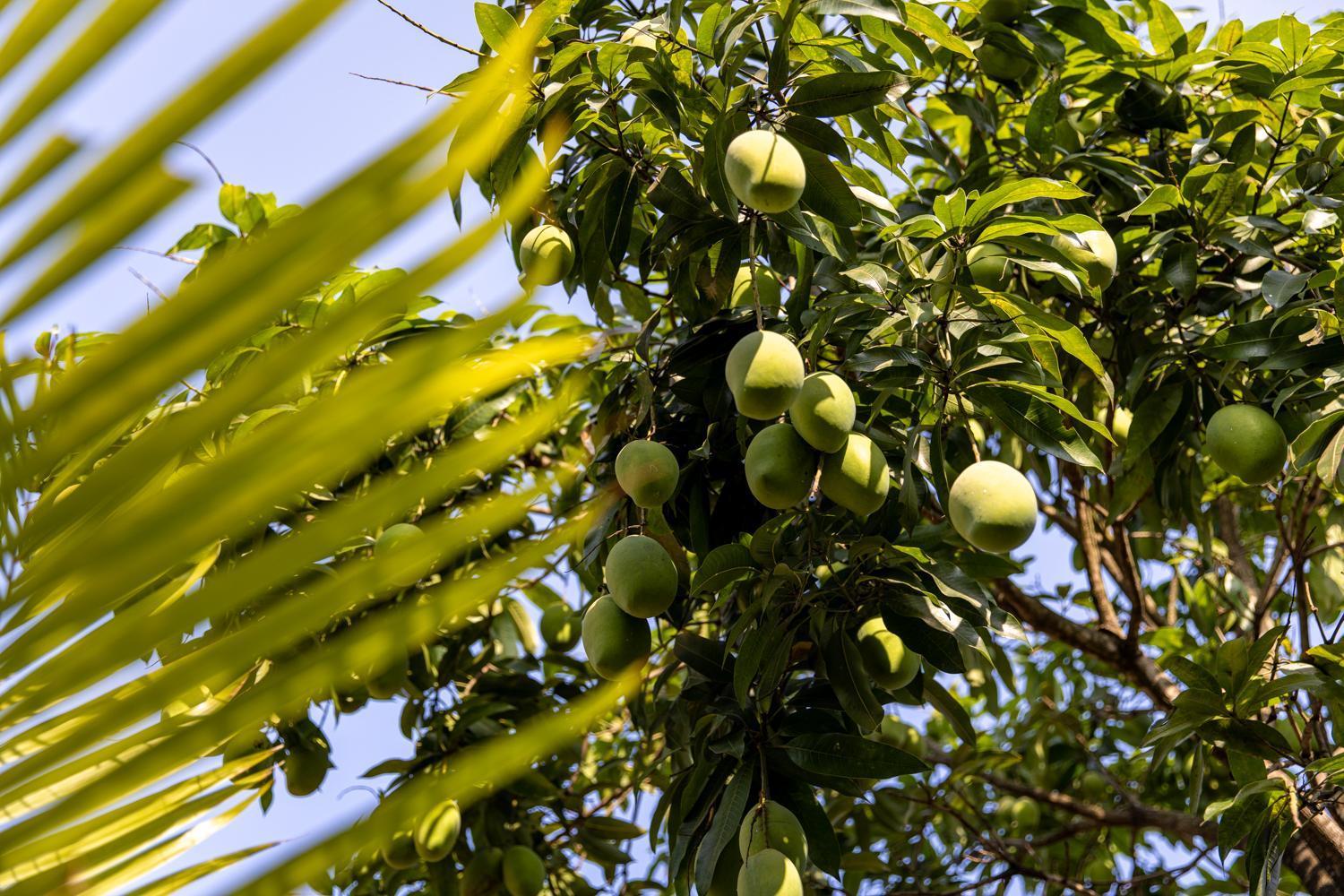 Kampot Cabana Eksteriør bilde